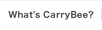 whats CarryBee